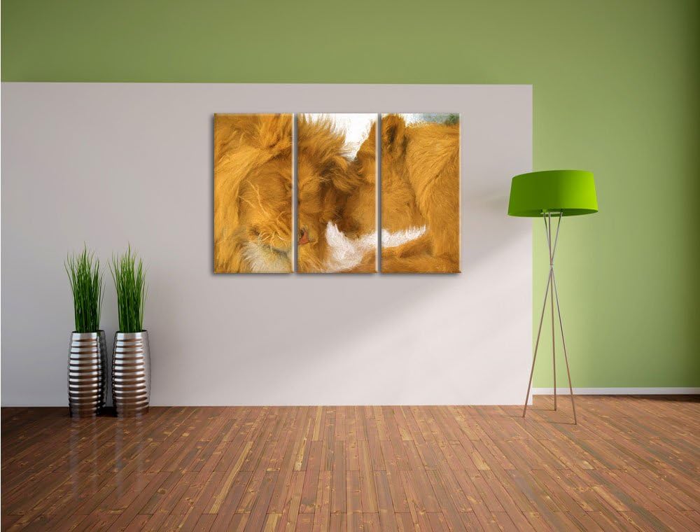 Pixxprint Kuschelnde Löwen Bunstift Effekt 3-Teiler Leinwandbild 120x80 Bild auf Leinwand