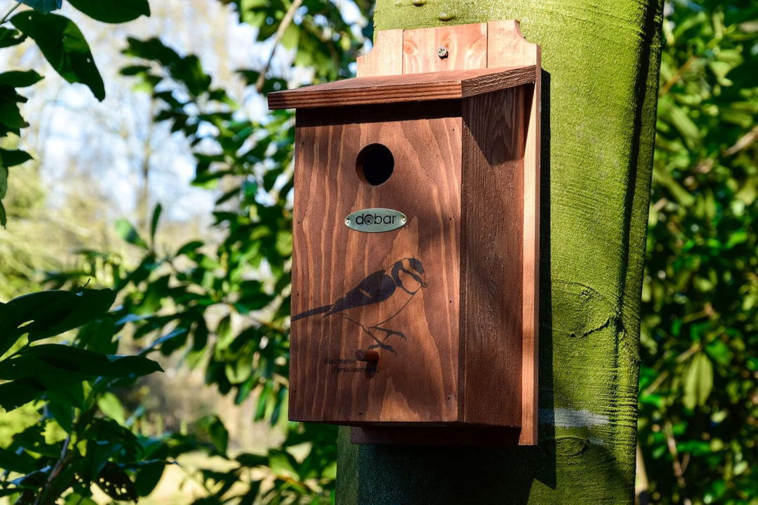 dobar® green label 22363FSCe Nistkasten "Blaumeise" - Meisenkasten aus Holz - Nisthilfe für Wildvöge