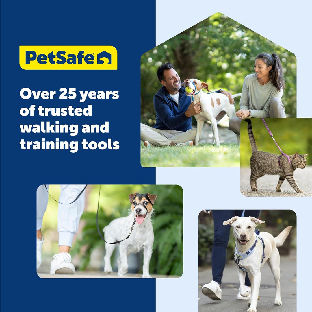 PetSafe Sanfter Führer Halsband mit Trainings-DVD schwarz Medium, schwarz Medium