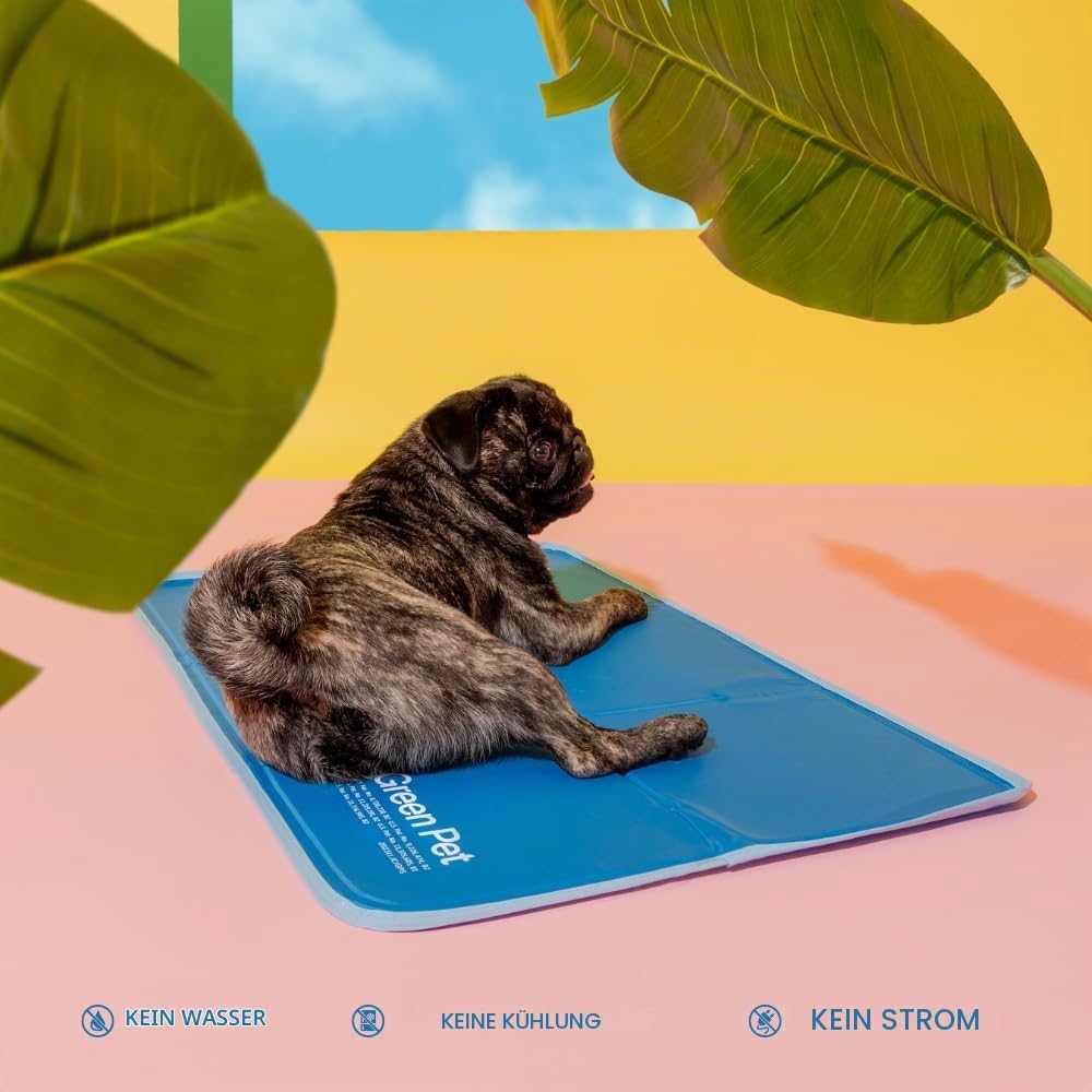 TheGreenPetShop CBROSEY Katzen L 40 x B 30 x H 1 cm Blue, L 40 x B 30 x H 1 cm Blue