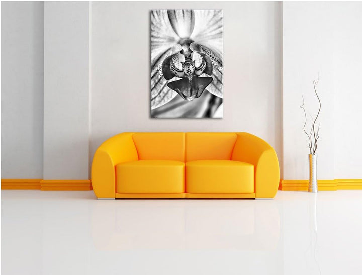 Pixxprint Monocrome, schöne Orchidee, Format: 100x70 auf Leinwand, 100x70