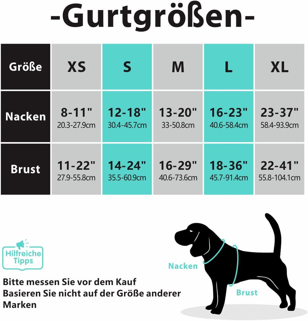 PoyPet No Pull Hundegeschirr, reflektierendes Westengeschirr mit 2 Leinenbefestigungen und einfachem