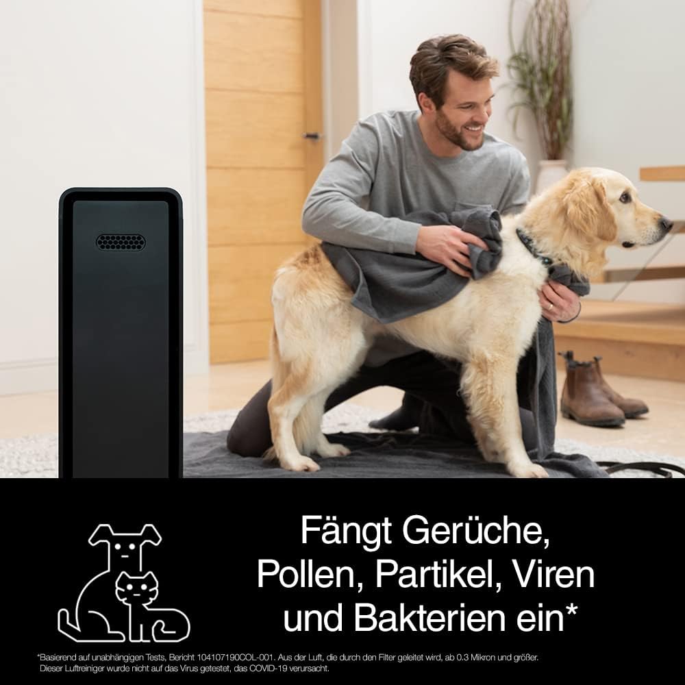 Ersatzfilter für Braun BFD104B Luftreiniger