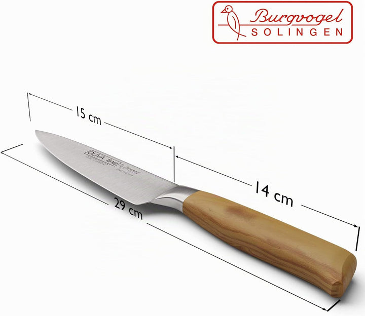 Burgvogel Solingen Kochmesser 15 cm geschmiedet Olivenholz, Oliva Line, rostfrei, deutsches Küchenme