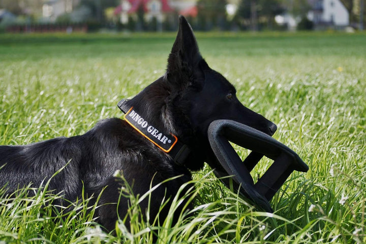Dingo Gear Beisskissen Keilform Gizmo aus Baumwolle-Nylon Schwarz Ausbildung IGP IPO K9 Hundetrainin