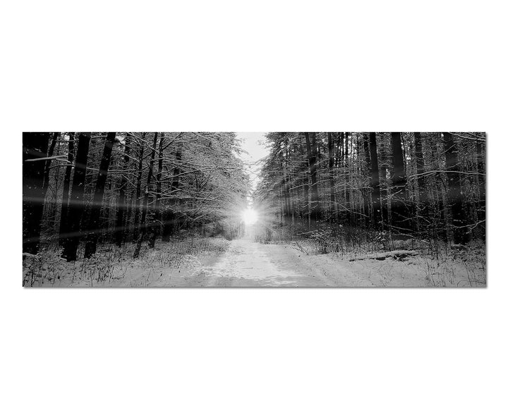 Paul Sinus Art Leinwandfoto als Panorama SCHWARZ/Weiss 150x50cm Wald Bäume Winter Schnee Sonnenaufga