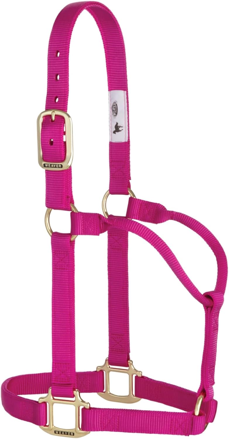 Weaver Leather, nicht verstellbares Halfter Himbeere Average Horse, Himbeere Average Horse