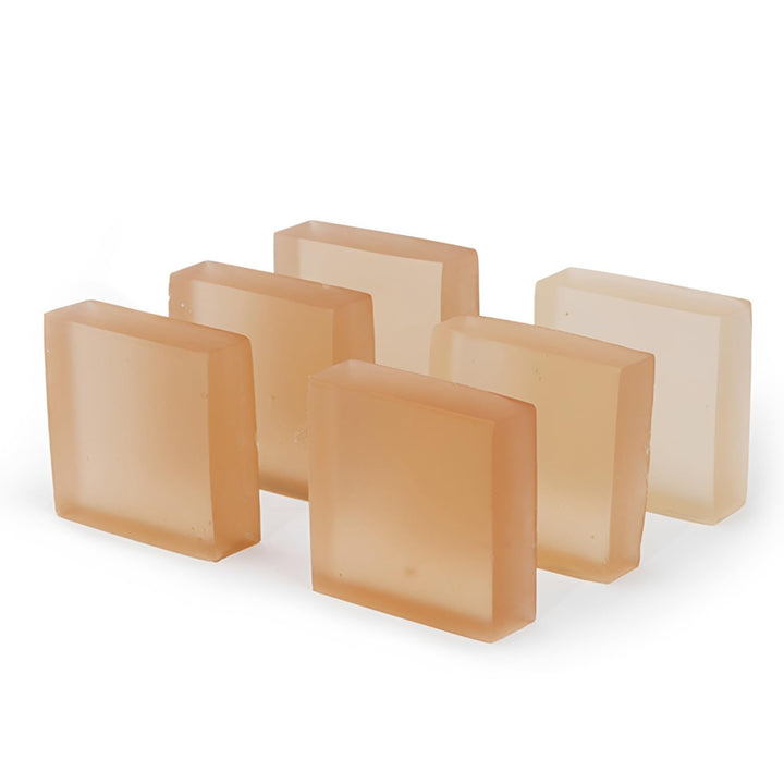 6 Stück N50 2.0 Geruchsvernichter für Petkit Pura Max/Max 2 | Geruchsentferner Pods | Neutralisiert