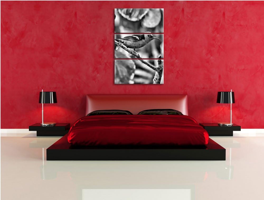 Pixxprint Türkisnaschvogel auf AST als Leinwandbild/Grösse: 3 Teilig (120x80) cm/Wandbild/Kunstdruck