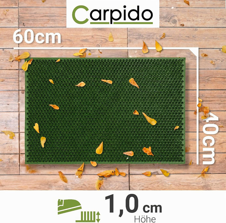 Carpido Wetterfeste Fussmatte Garten - Grün 2er Set 40x60 cm - Outdoor Schmutzfangmatte - Türmatte l