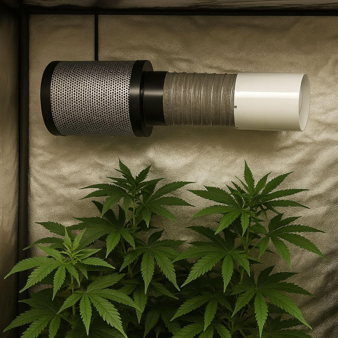 Weedness Grow Abluft Set Set ECO 190 m3/h 125 mm Flansch Belüftungsset - Grow Indoor Aktivkohlefilte