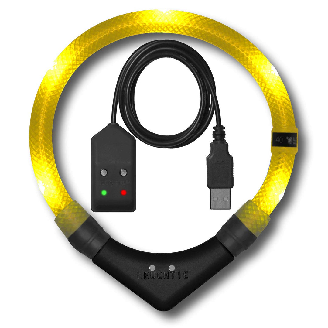 LEUCHTIE® Easy Charge Leuchthalsband Hund aufladbar, wasserdichtes LED Halsband, Leuchtband für Hund