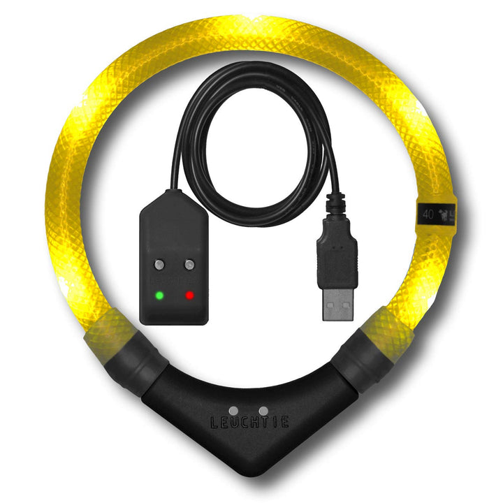 LEUCHTIE® Easy Charge Leuchthalsband Hund aufladbar, wasserdichtes LED Halsband, Leuchtband für Hund