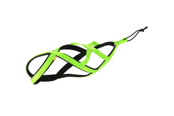 Dingo Hundegeschirre Sled Farbe Grün Zuggeschirr Canicross Bike-Ski-Jöring Training Dogtrekking Gros