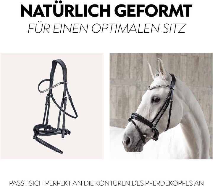 SUNRIDE schwedische Trense Aspen mit Zügel, aus weichem Echtleder mit Lack, verstellbar und anatomis
