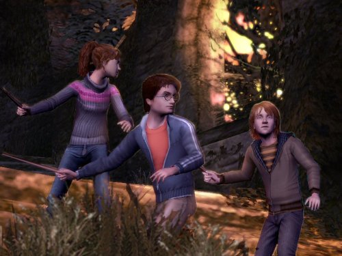 Harry Potter und der Feuerkelch GameCube Standard, GameCube Standard