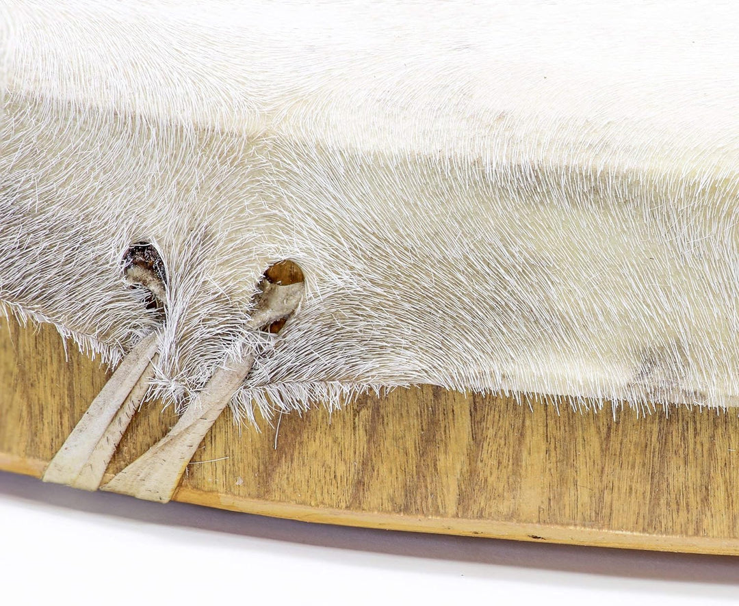 Shamandrum 60 cm Rahmentrommel Rund Ziegenhaut Behaart im mysevendo Set Shaman Drum Goat Skin inkl.