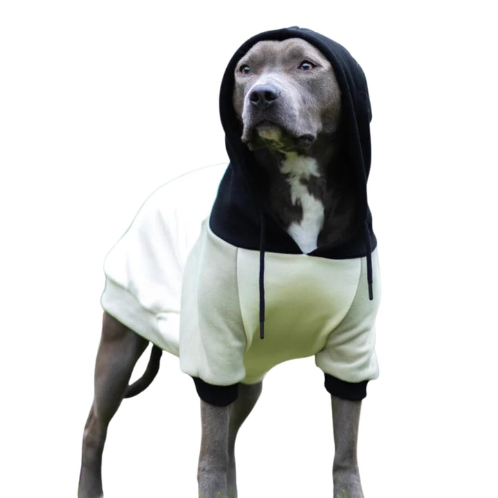 Spark Paws Dog Hoodie - Premium Quality, Buttery Soft, Superior Comfort and Fit, Calming Fleece Inte