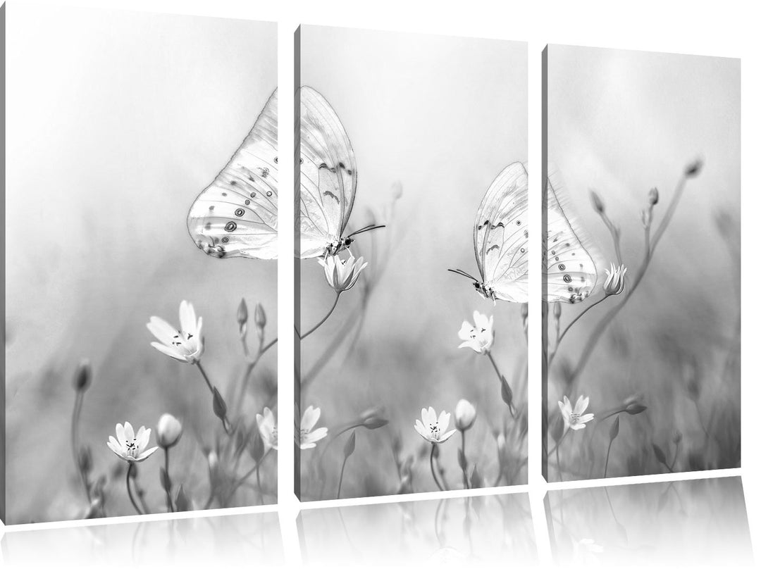 Pixxprint Schmetterling auf kleinen Blumen als Leinwandbild/Grösse: 3 Teilig (120x80 cm) cm/Wandbild