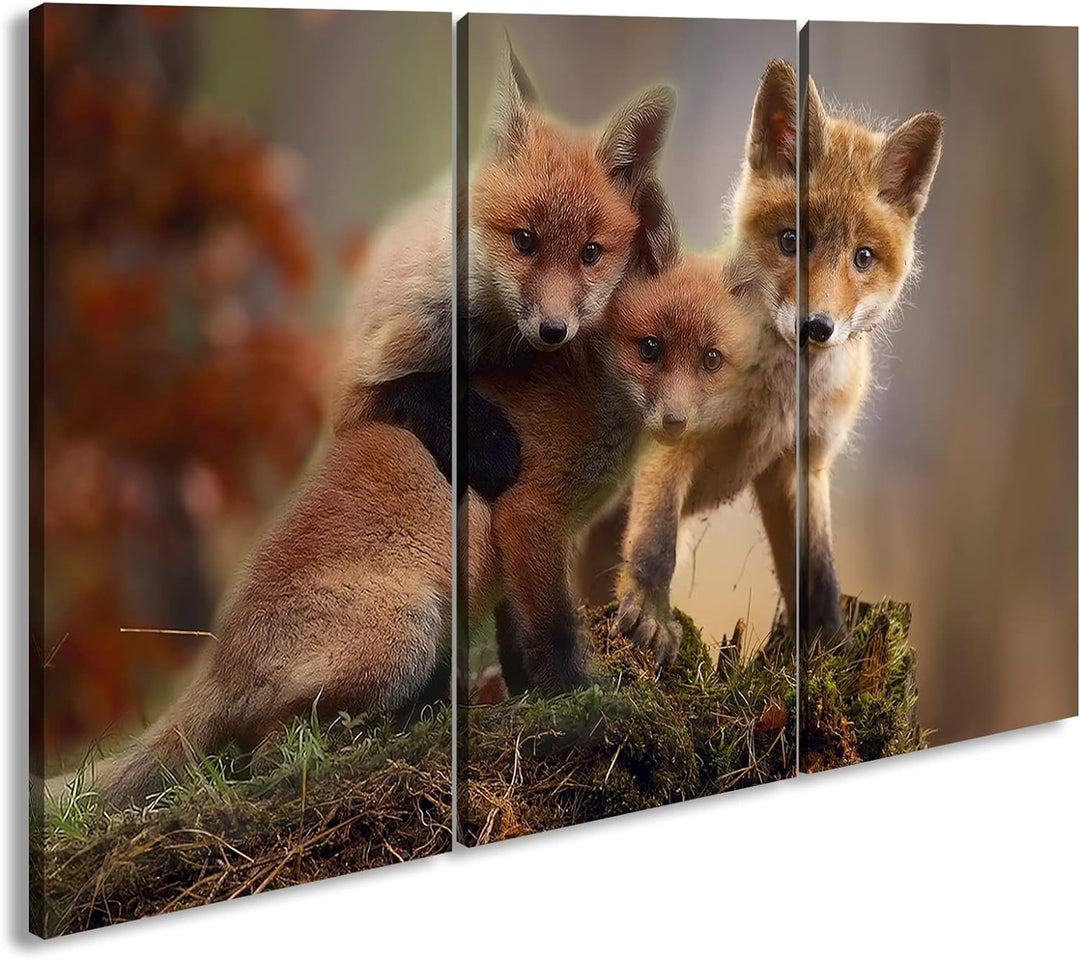 deyoli Kleine Familie von Rotfüchsen Format: 3-teilig 120x80 als Leinwand, Motiv fertig gerahmt auf