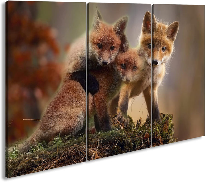 deyoli Kleine Familie von Rotfüchsen Format: 3-teilig 120x80 als Leinwand, Motiv fertig gerahmt auf