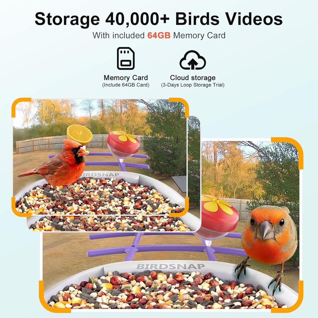 PAV- Vogelfutterstation mit Kamera Solarpanel, 64GB Karte & 2K HD Aufnahme Vogelvideo Vogelhaus für