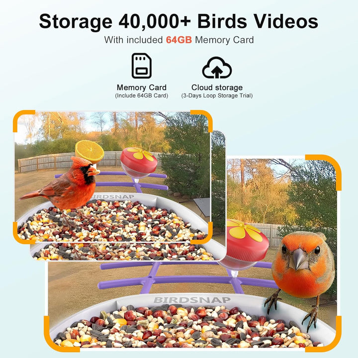 PAV- Vogelfutterstation mit Kamera Solarpanel, 64GB Karte & 2K HD Aufnahme Vogelvideo Vogelhaus für