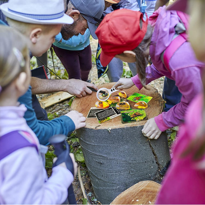 AMOSTING Bernstein Ausgrabungsset für Kinder ab 6 7 8 9 10-12 Jahren, Künstliche Insektenfossilien,