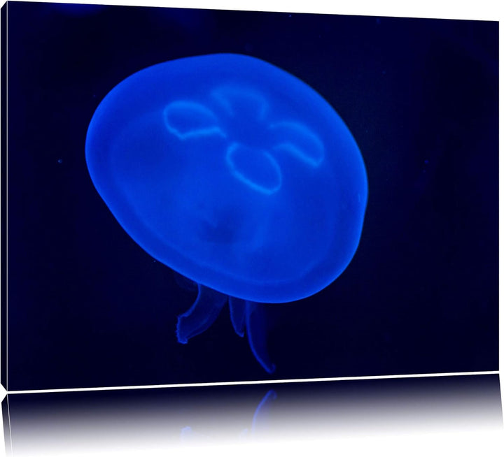 Pixxprint Leuchtend Blaue Qualle auf Leinwand, XXL riesige Bilder fertig gerahmt mit Keilrahmen, Kun