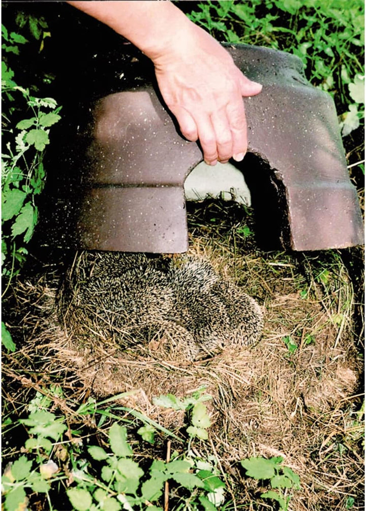 Igelkuppel mit Isolierboden