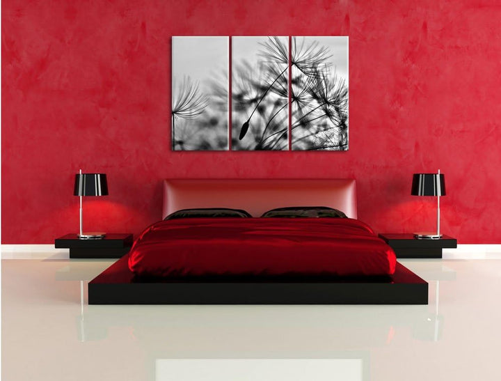 Pixxprint Pusteblumen mit Tautropfen als Leinwandbild/Grösse: 3 Teilig (120x80) / Wandbild/Kunstdruc