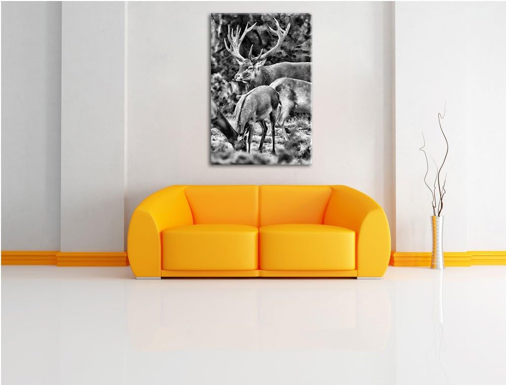 Pixxprint Hirschfamilie auf Waldlichtung als Leinwandbild/Grösse: 100x70 cm/Wandbild/Kunstdruck/fert