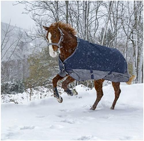 Equit'M Unisex Turnout Teppich Tyrex 600 D, 130 cm 4 ft/9-Inch/145 cm marineblau/grau, 4 ft/9-Inch/1