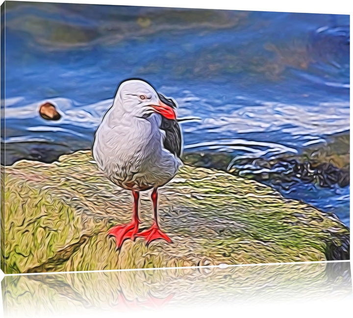 kleine Möwe auf Felsbrocken Deluxe Format: 100x70 cm auf Leinwand, XXL riesige Bilder fertig gerahmt