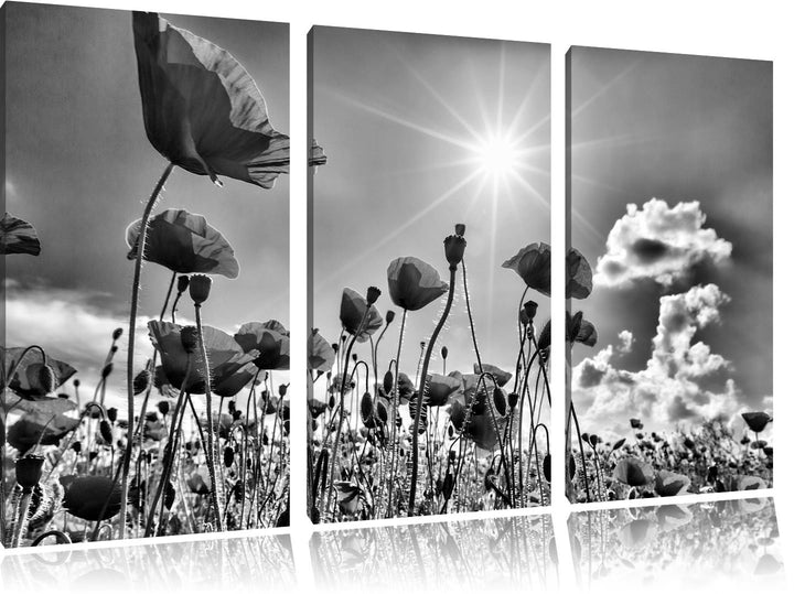 Pixxprint Mohnblumen als Leinwandbild | Grösse: 3 Teilig (120x80) | Wandbild| Kunstdruck | fertig be