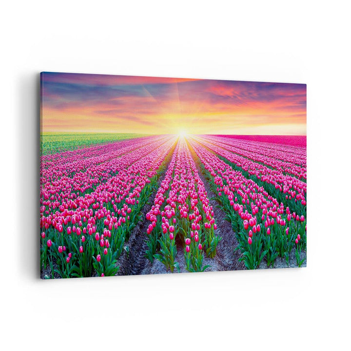 Bilder auf Leinwand 100x70cm Leinwandbild Wiese Tulpen Sonnenuntergang Frühling Gross Wanddeko Bild