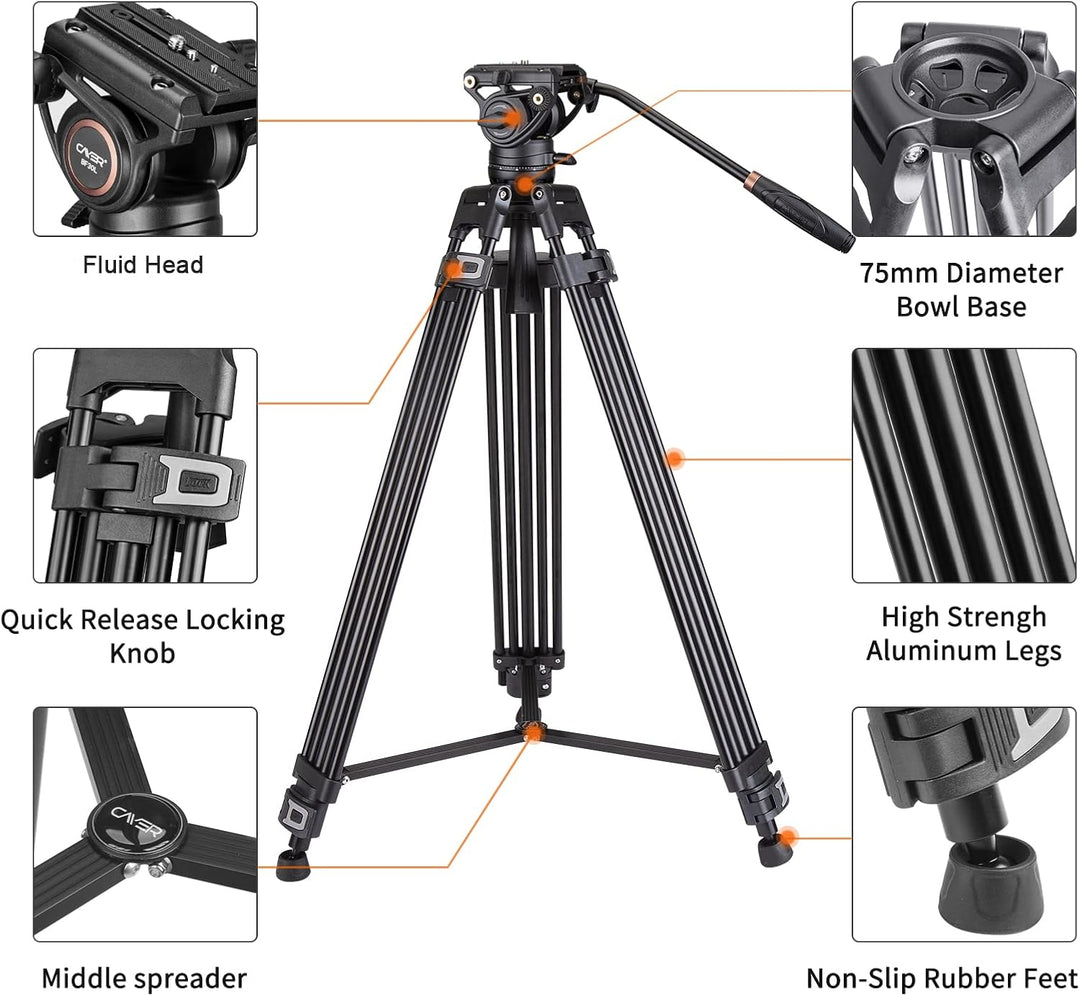 Cayer BF30L Video-Stativ mit Fluid-Kopf, 73" Heavy Duty Stativ mit 360 Grad Fluid-Kopf und Schnellwe