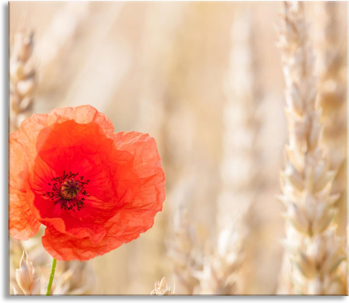 Mohnblume im Kornfeld Herdabdeckplatte & Spritzschutz aus Echtglas | Für Herd-Kochfelder | 60x52 cm