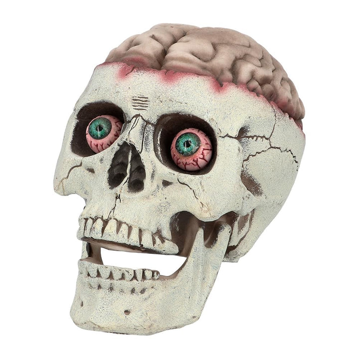 Boland 73213 - Totenkopf Schädel mit beweglichem Kiefer, 18 x 13 x 15 cm, Dekofigur, Halloween Dekor
