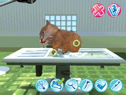 Meine Tierklinik in Australien Nintendo DS, Nintendo DS