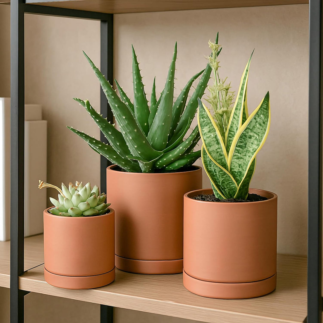 Terrakotta-Töpfe für Pflanzen, 10,7 cm, 13,9 cm, 16,5 cm, Sukkulenten-Übertopf mit Drainage und Unte