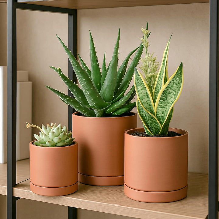 Terrakotta-Töpfe für Pflanzen, 10,7 cm, 13,9 cm, 16,5 cm, Sukkulenten-Übertopf mit Drainage und Unte