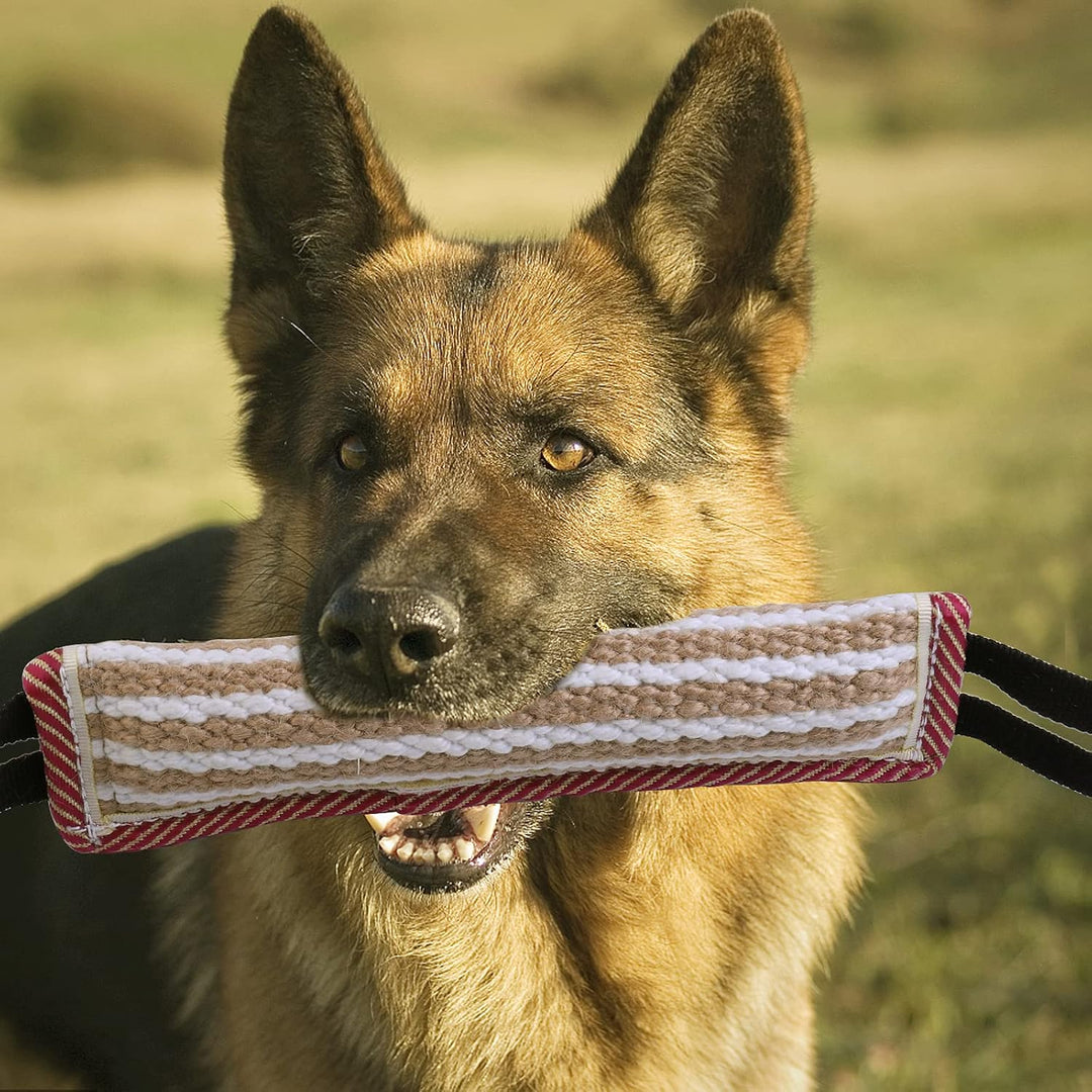 2 Stück Beisswurst für Hunde, Jute Beisswurst Training mit 2 Griff, Tauziehen und Zerrspiele mit Hun