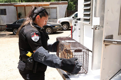 RAPICCA Handschuhe für den Umgang Mit Tieren Bissfeste Kevlar-verstärkte Lederpolsterung Hund, Katze