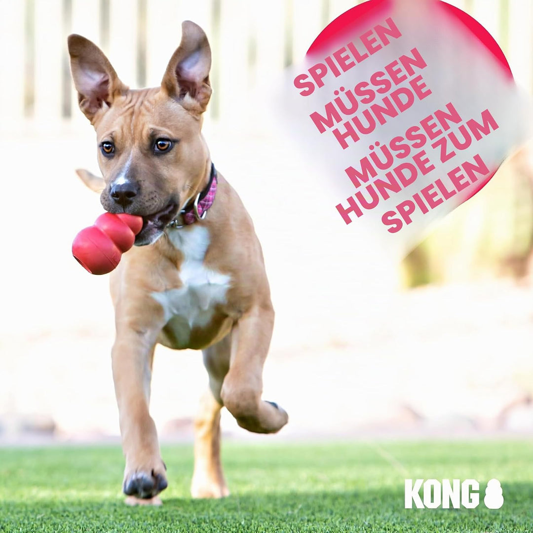 KONG – Rewards Ball – Besonders Robuster Interaktiver Leckerlispender – Für Grosse Hunde