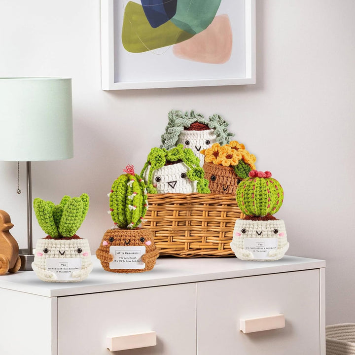 ASTNIC Häkelset für Anfänger,6 Stück Hängende Topfpflanze Cactus Häkeln Starter Kit Erwachsene mit A