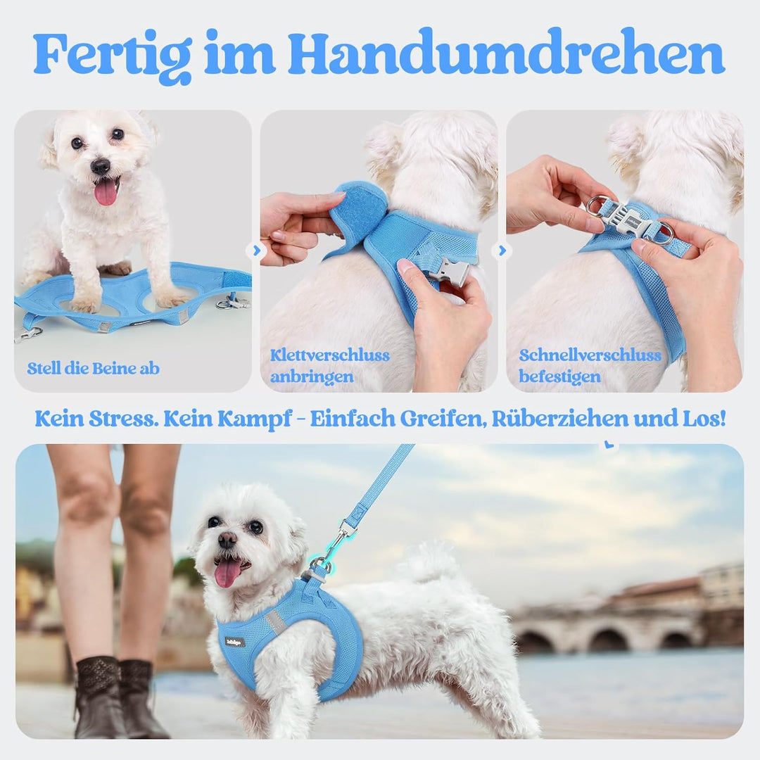 rabbitgoo Hundegeschirr Kleine Hunde mit Leine, Step-in Welpengeschirr Weich Mesh für Spaziergänge,