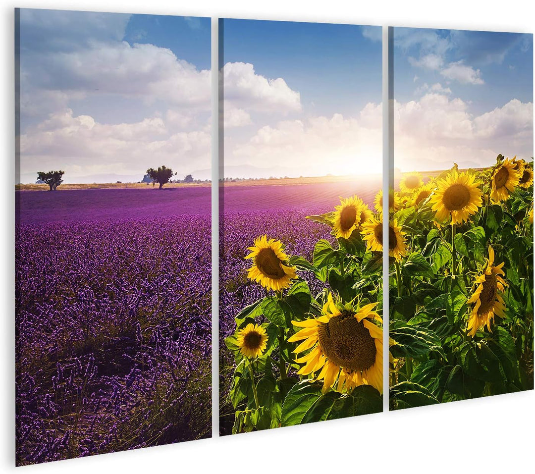 islandburner Bild auf Leinwand Lavendel Sonnenblumen Felder Provence Bilder Wandbilder Poster Leinwa