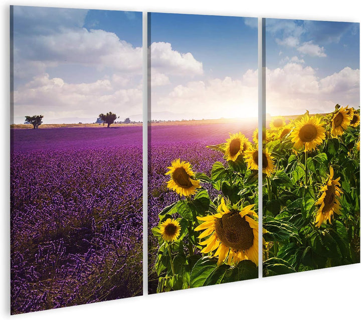 islandburner Bild auf Leinwand Lavendel Sonnenblumen Felder Provence Bilder Wandbilder Poster Leinwa