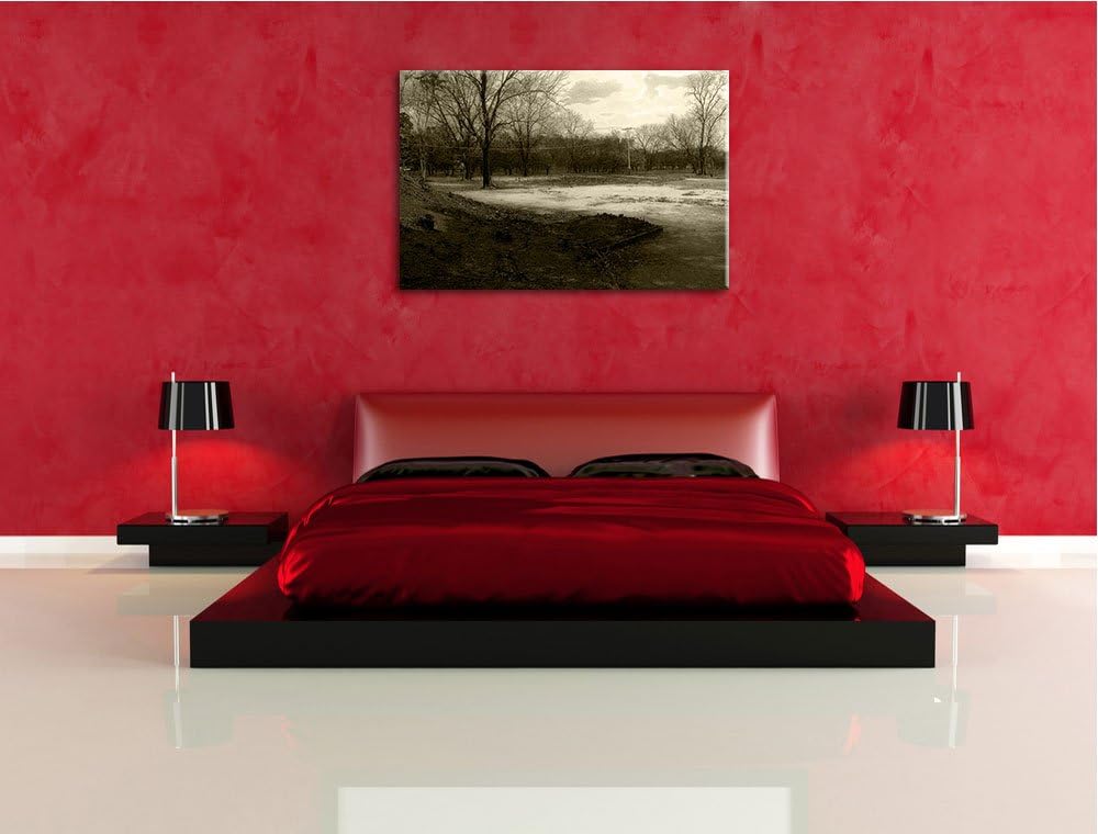 Pixxprint düstrer Wald auf Leinwand, XXL riesige Bilder fertig gerahmt mit Keilrahmen, Kunstdruck au